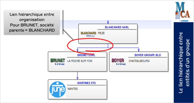 Création du lien hiérarchique entre organisation